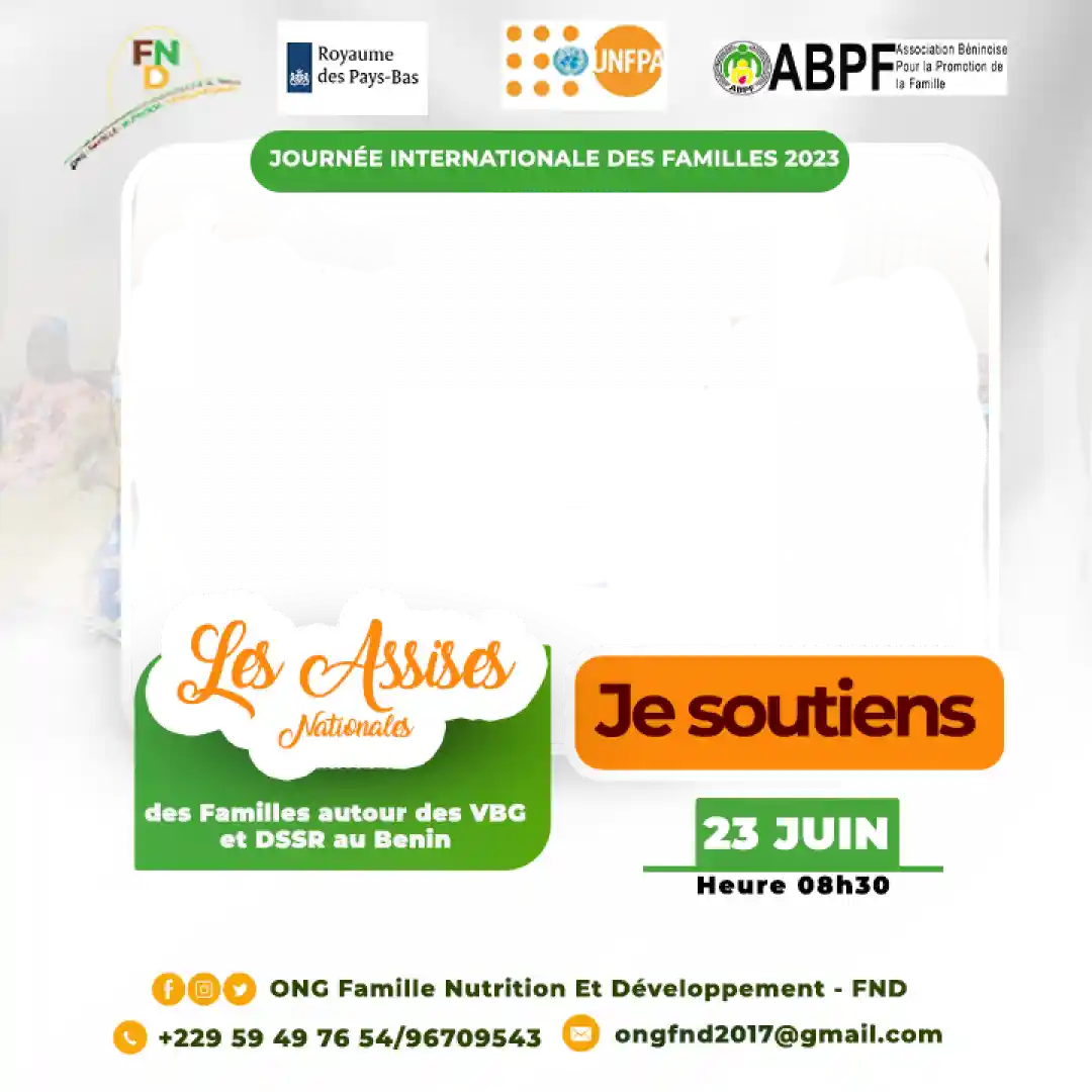 1 ASSISES NATIONALES DES FAMILLES AUTOUR DES VBG ET DSSR AU BENIN1